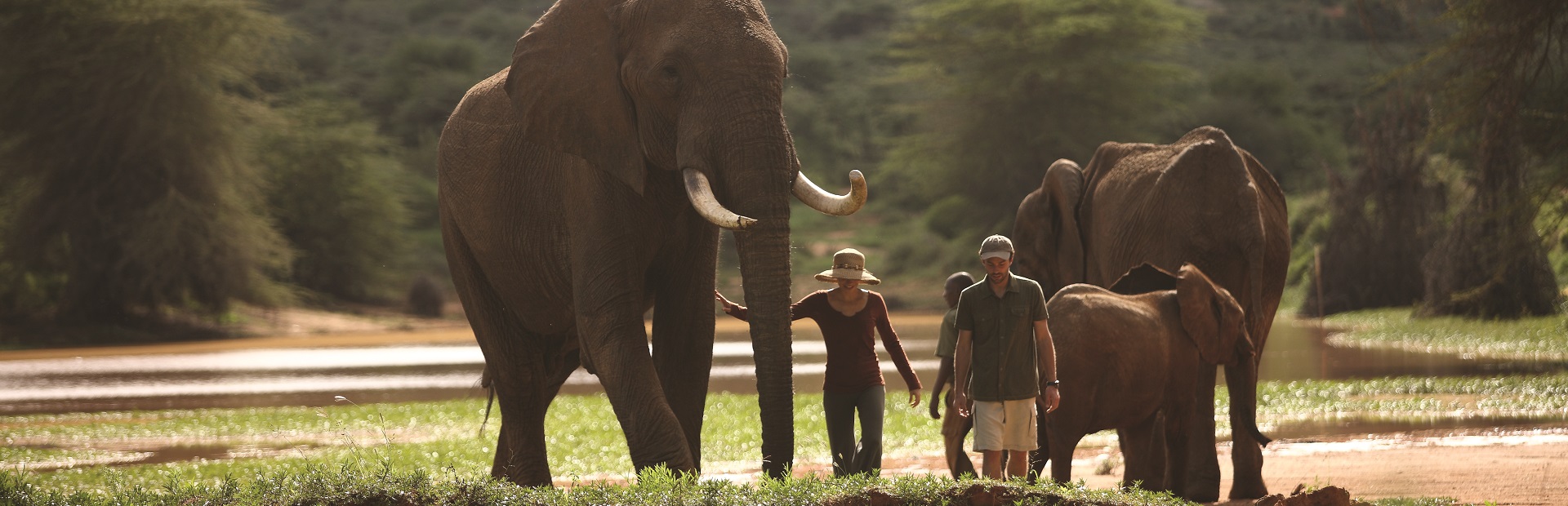 Ol Jogi Wildlife Rescue Center – Elephants